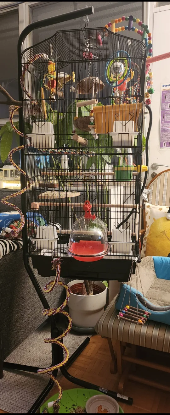 PREVUE Hanging Bird Cage Stand and Double Cage (Vertical) image indicator(5)