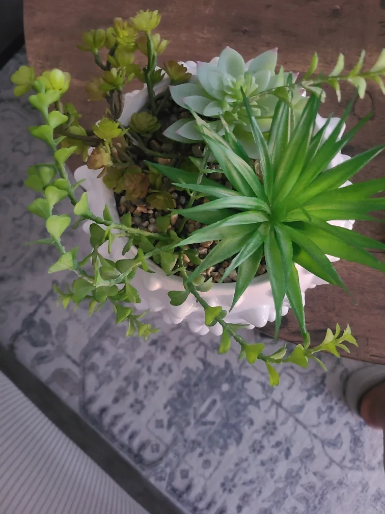 faux planter image indicator(2)