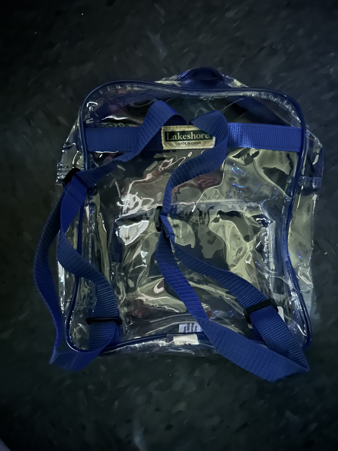 Lakeshore Clear Backpack - photo 2