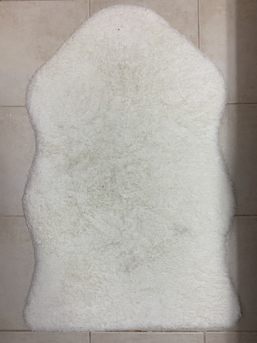 White Shag Rug