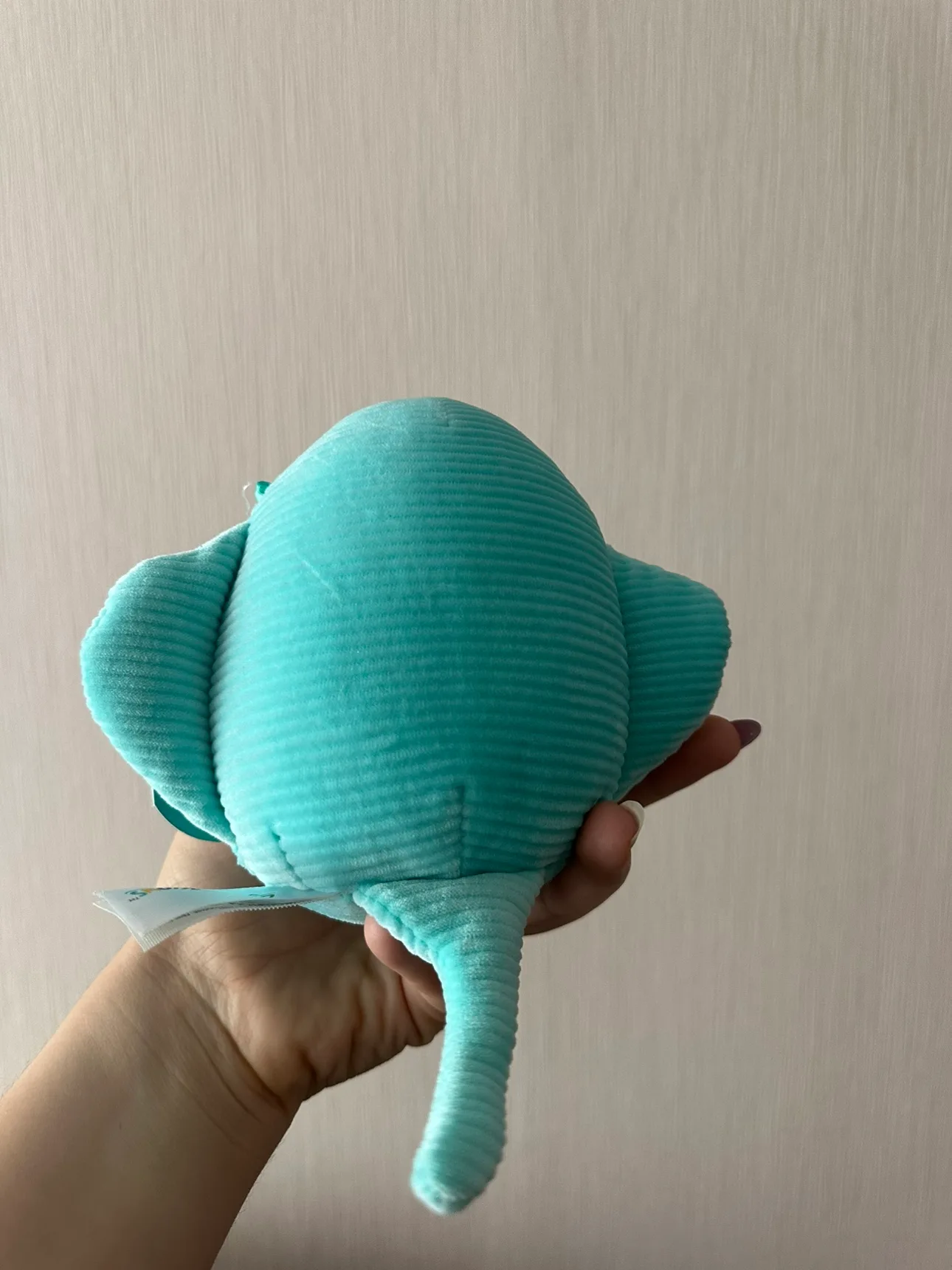 🥕 Day 3: Brand new Maggie the cute Stingray Squishmallow image indicator(2)