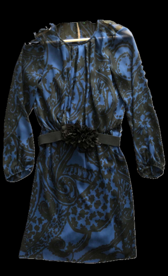 Blue and Black Floral Dress