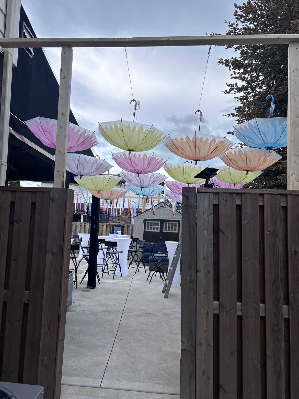 Umbrella Party Decor