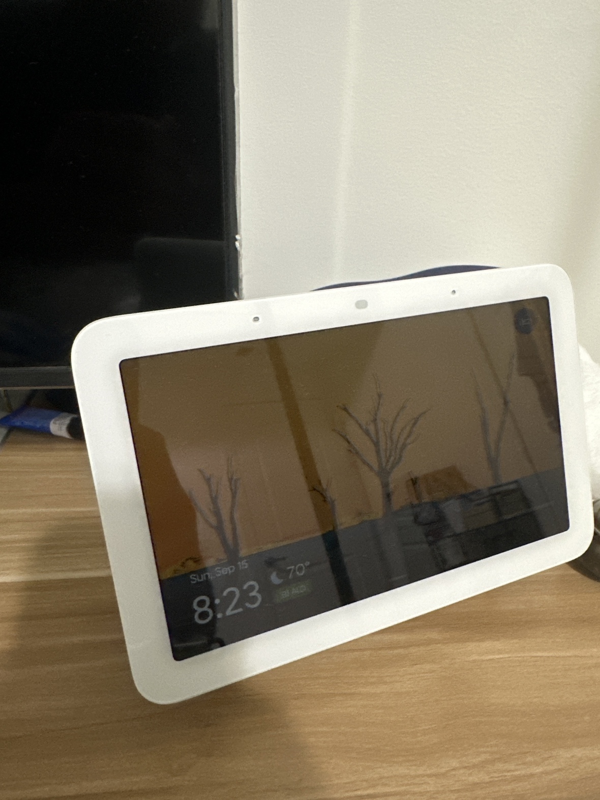Google Nest Hub
