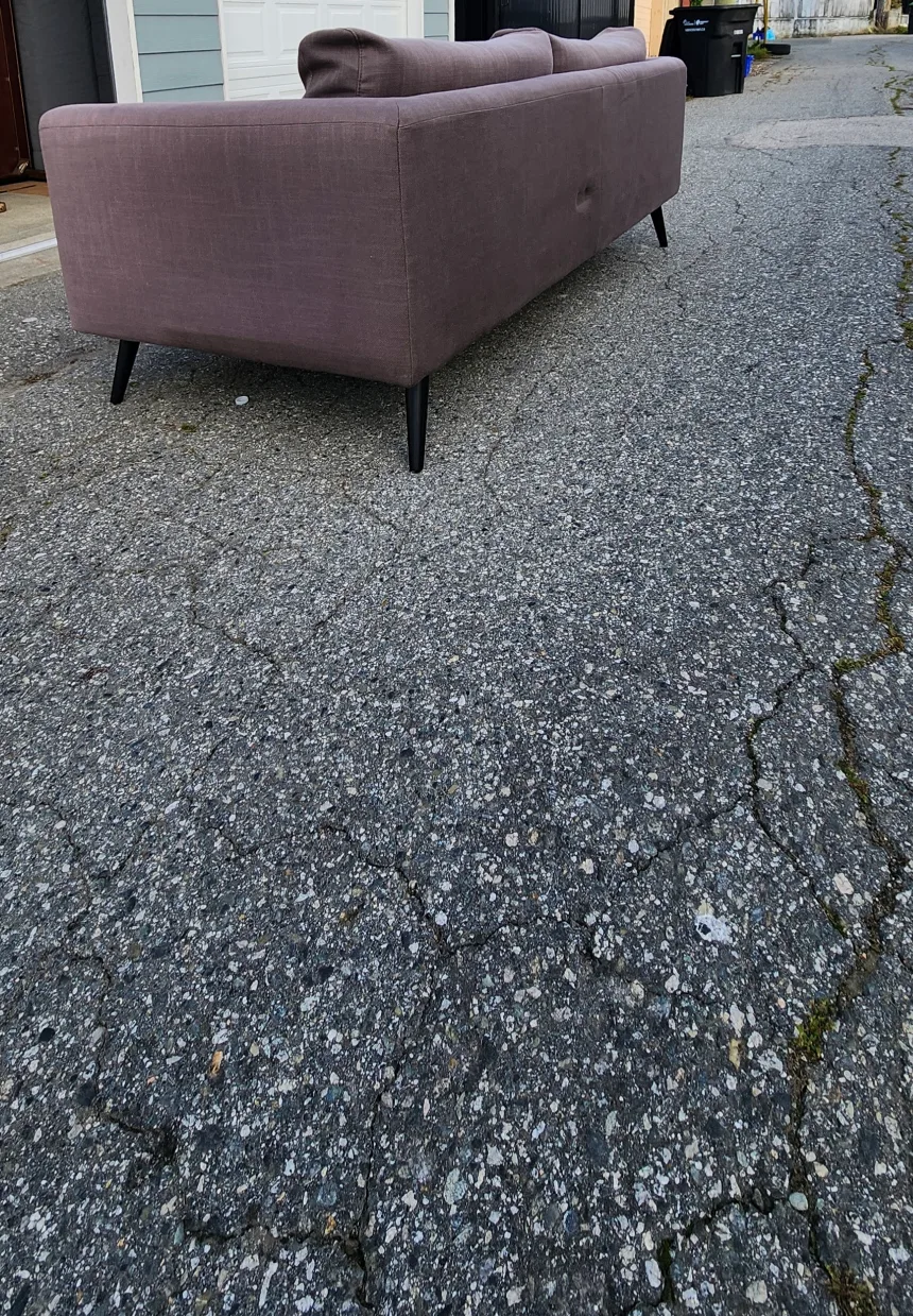 CB2 Loveseat 2 Seater Sofa image indicator(4)