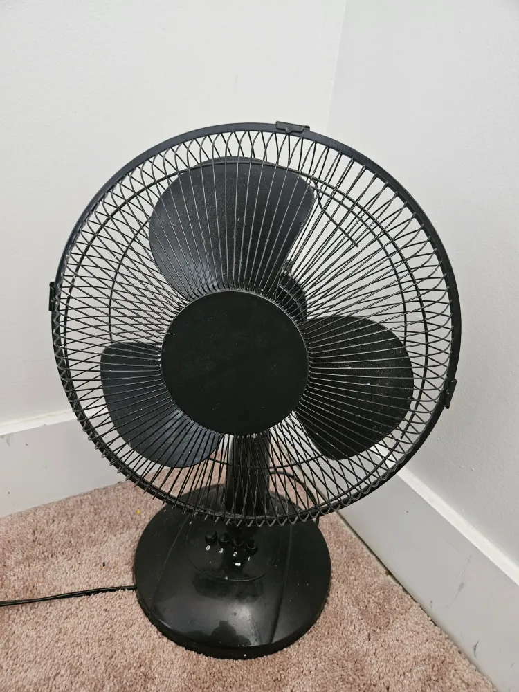 Black Oscillating Fan thumbnail