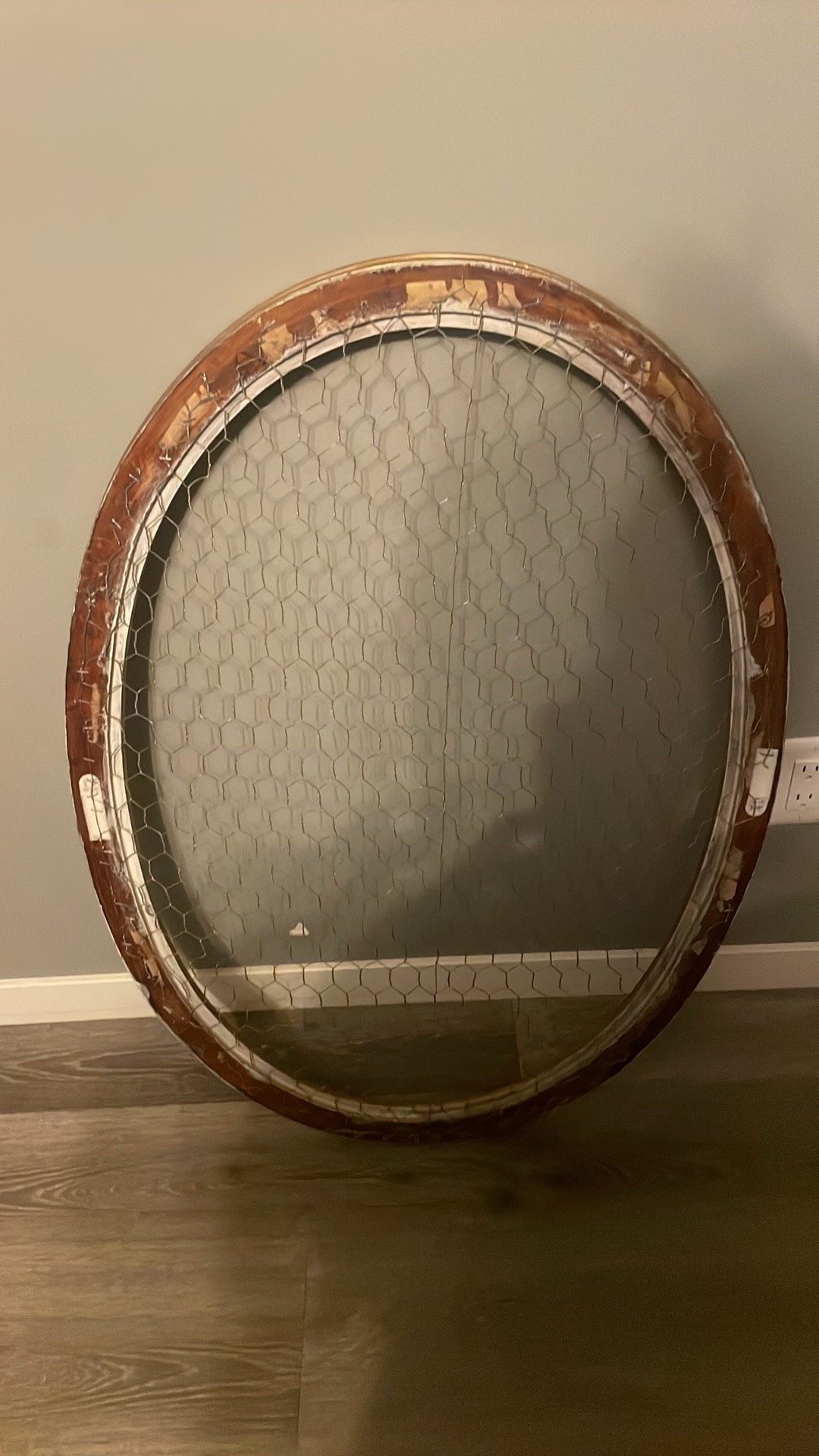 Large Ornate Gold Frame with Wire Mesh - photo 2