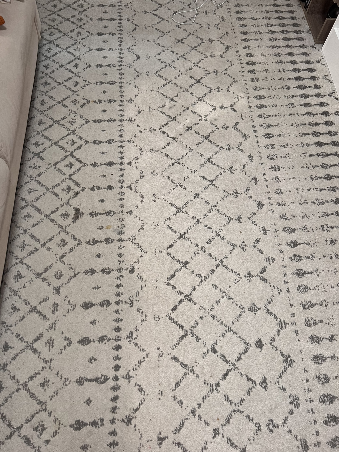 Area rug 8ft by 10ft - photo 4