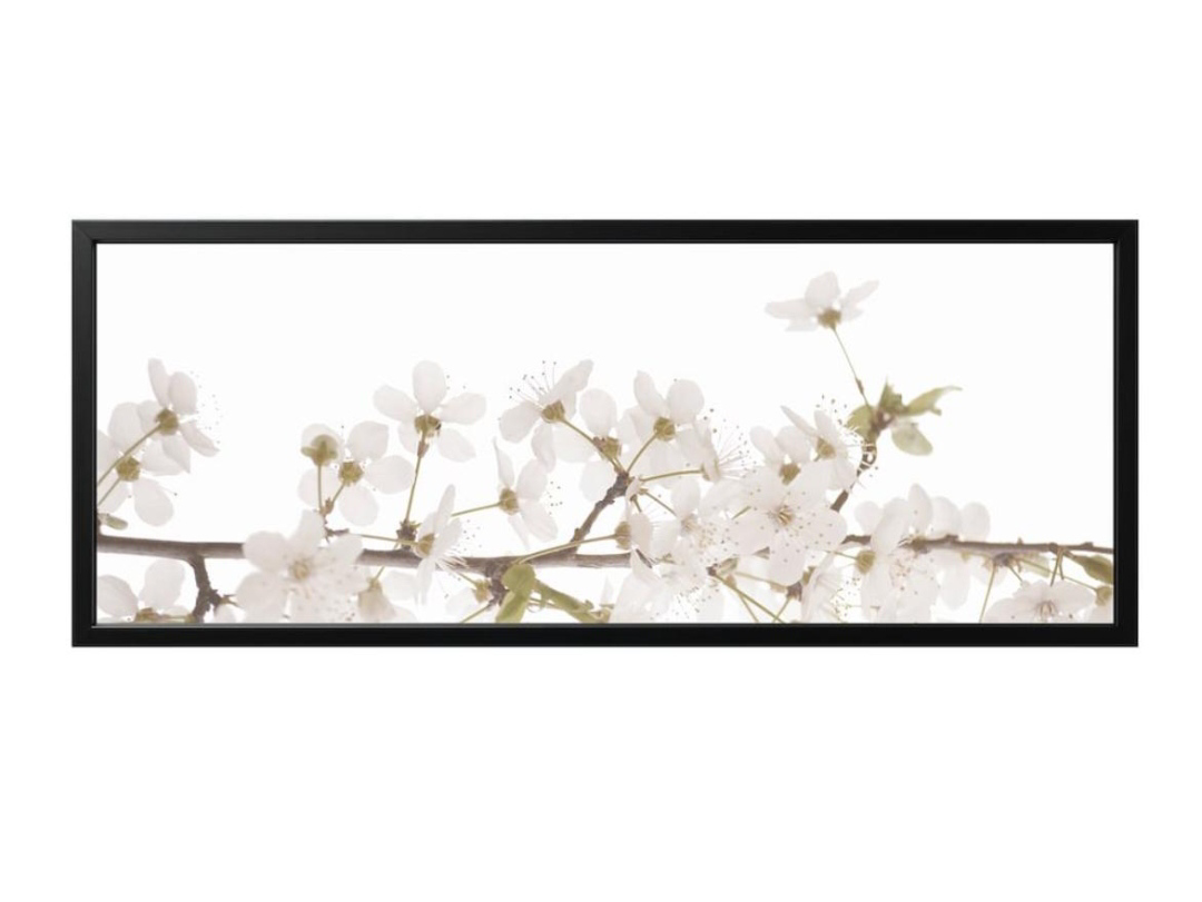 Wall Art with Black Frame - Move out sale.