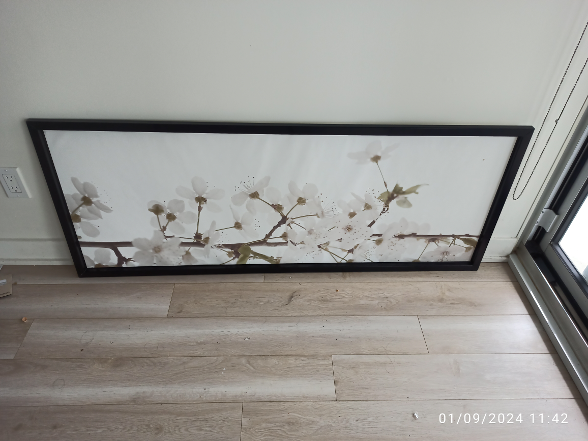Wall Art with Black Frame - Move out sale. - photo 3