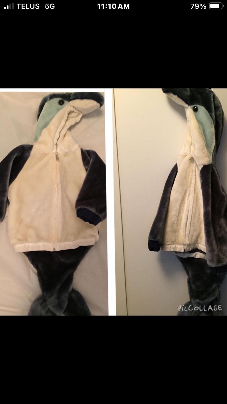 Dolphin Costume
