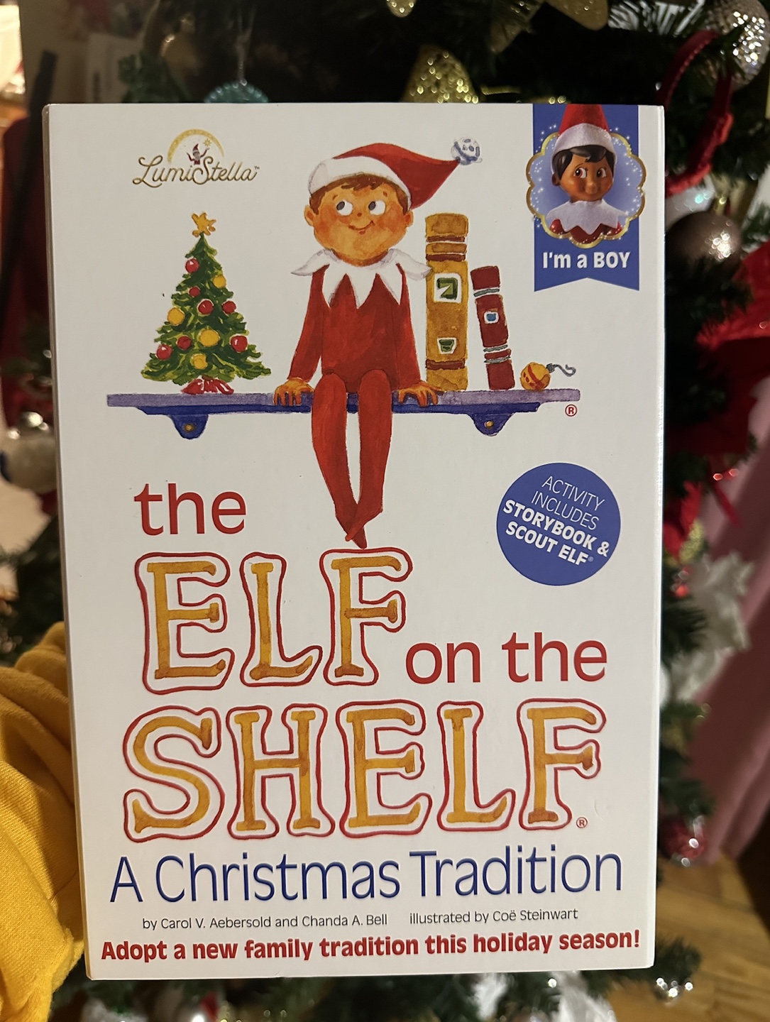 The Elf on the Shelf: A Christmas Tradition (BOY)