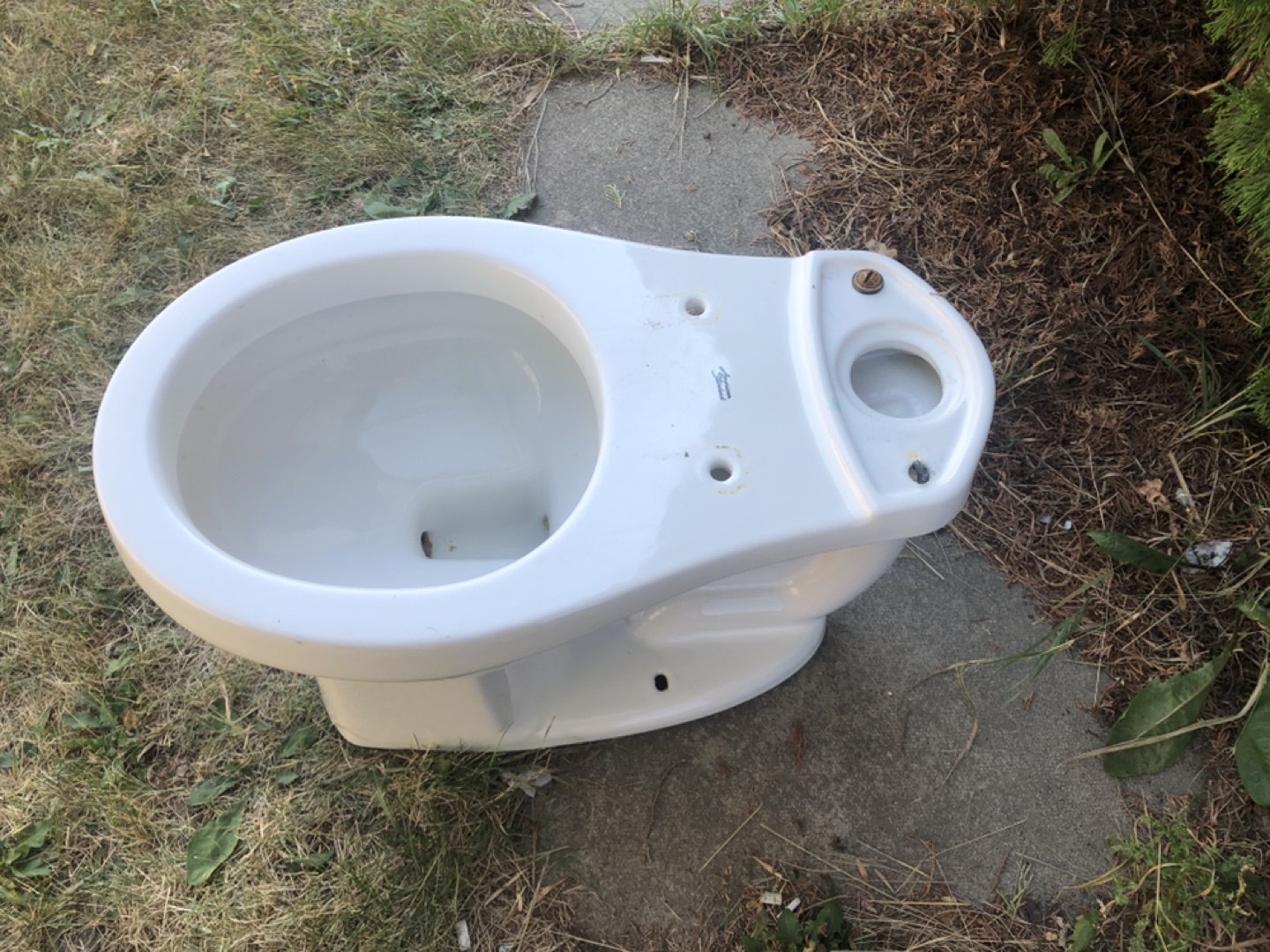 Toilet bowl 🧡 - photo 3