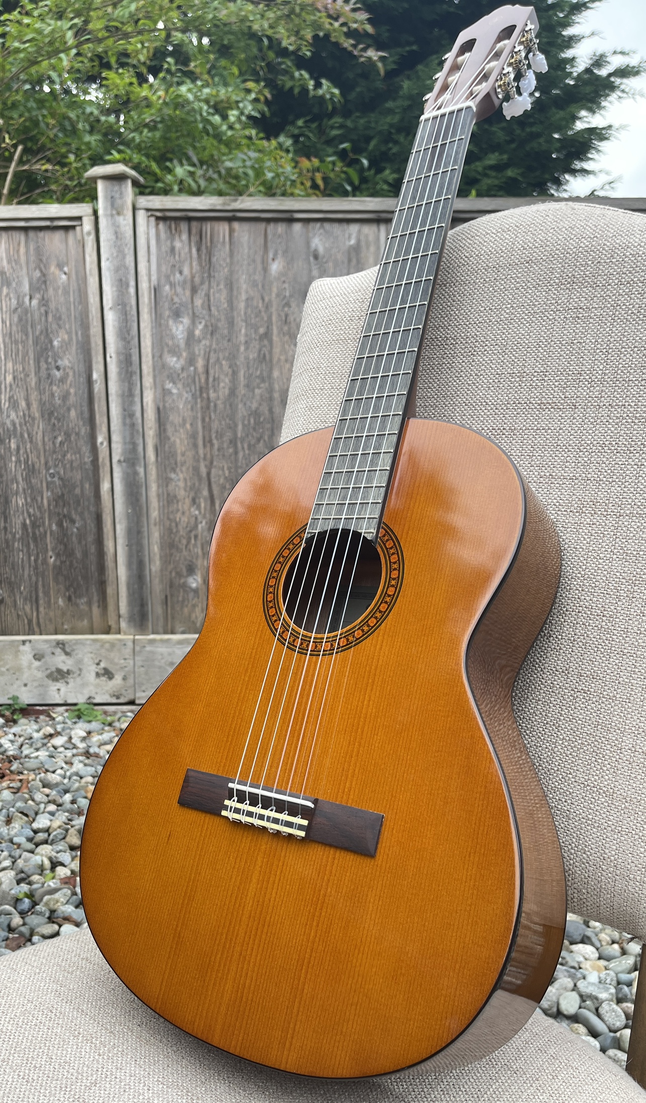Acoustic Guitar with Case and Method Book - photo 3