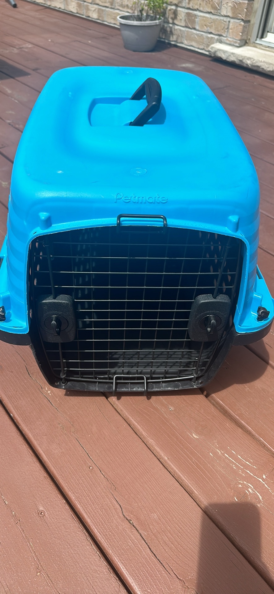 Petmate Blue Travel Crate