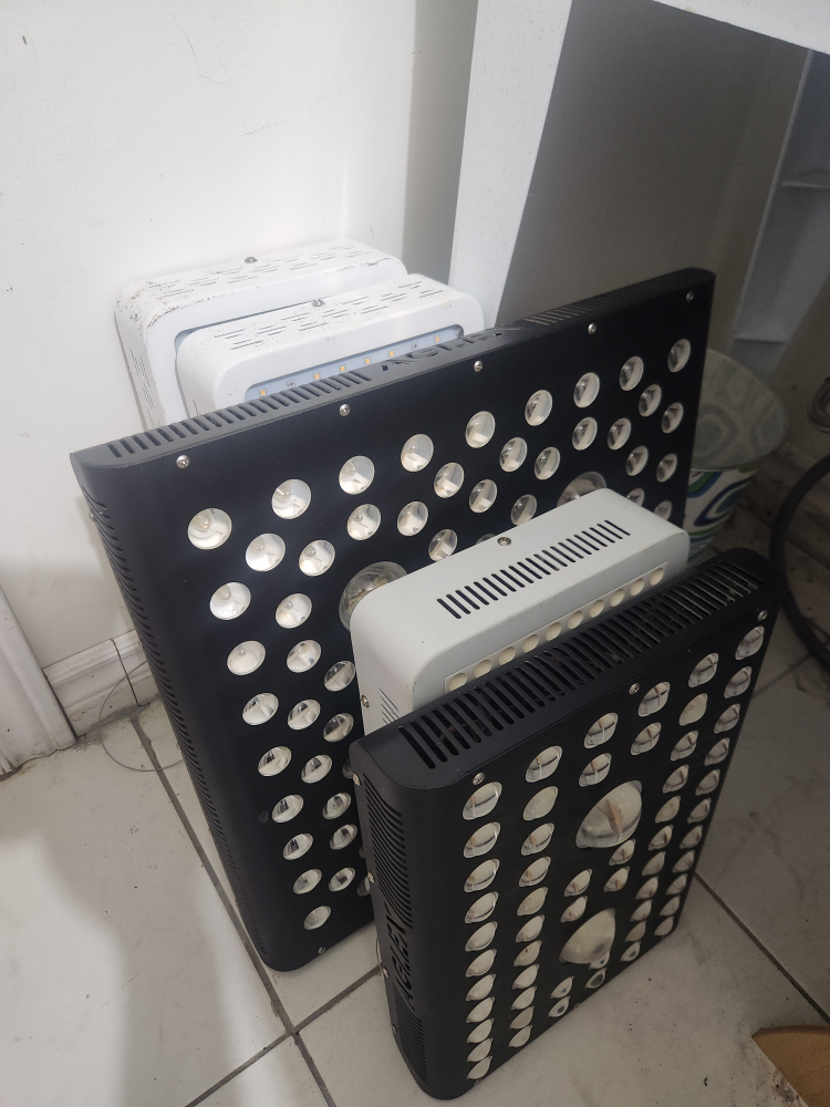 LED Grow Lights