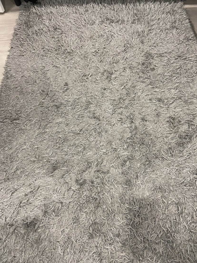 Grey Shag Rug