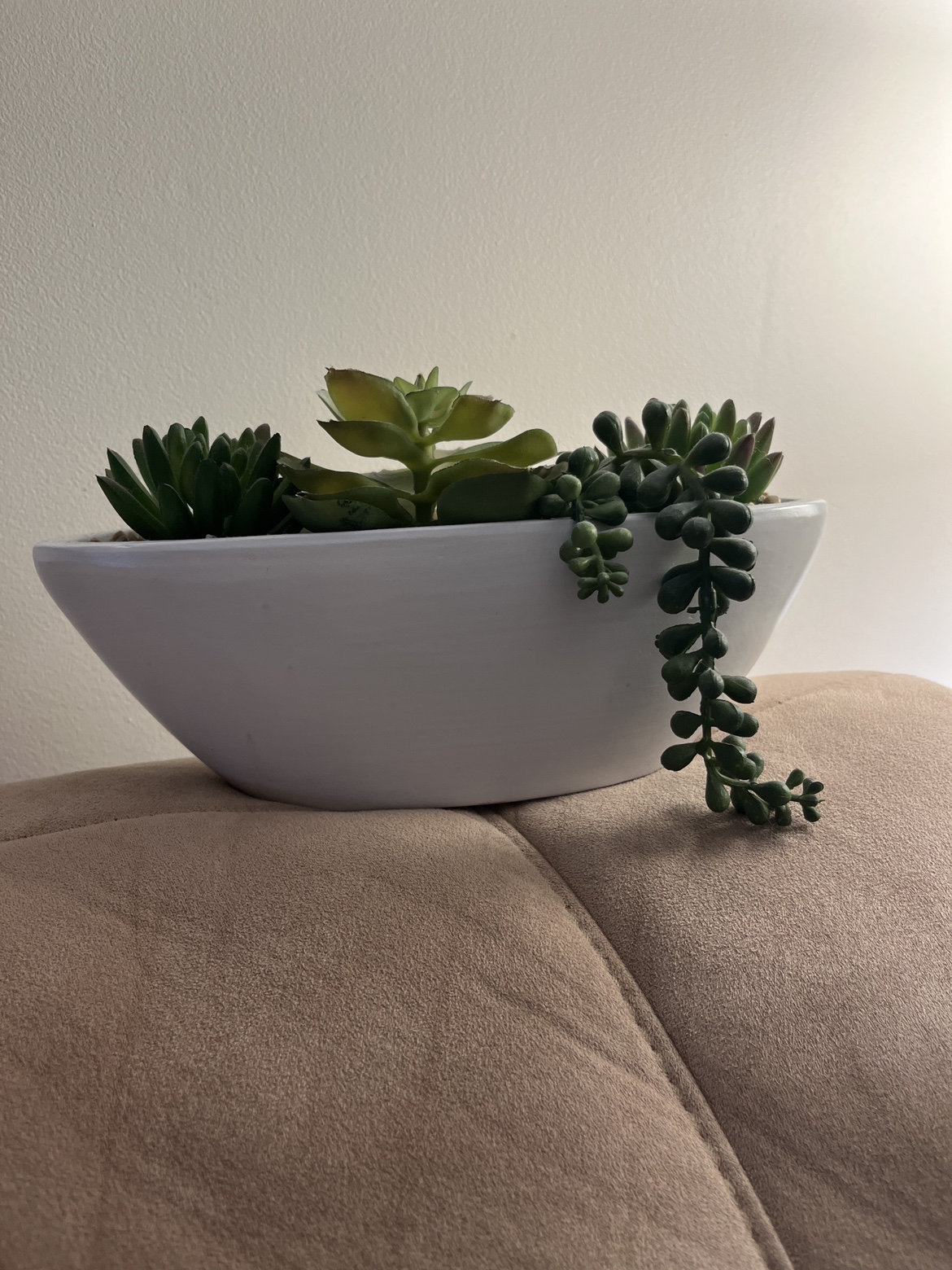 Succulent Planter