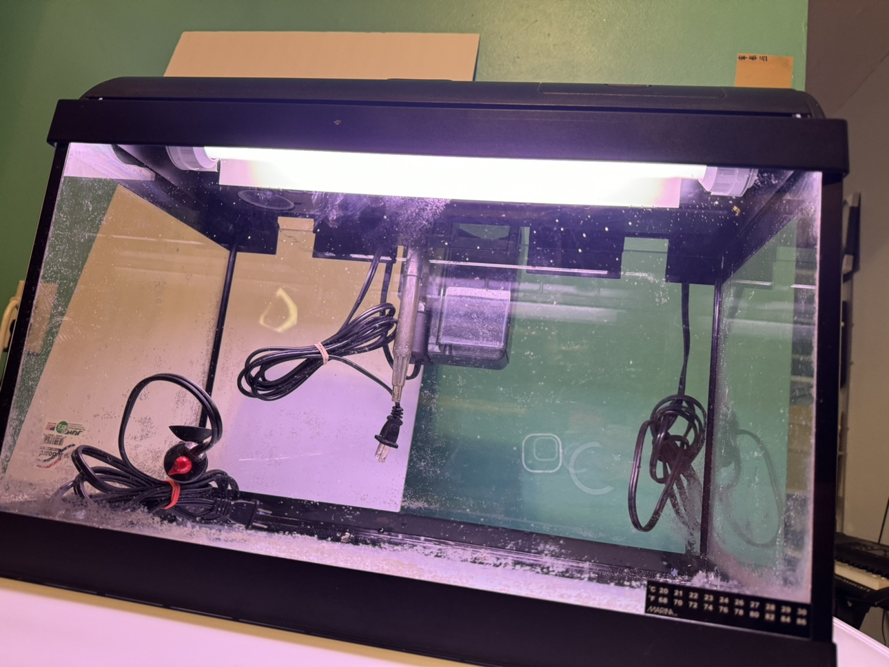 Aquarium Fish Tank - photo 5