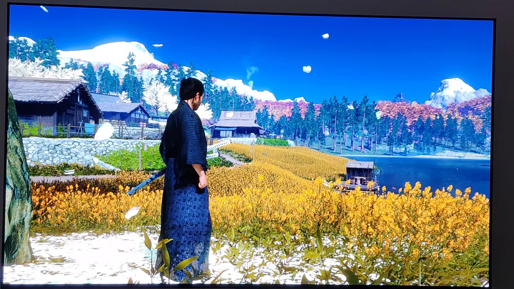 Ghost of Tsushima (Director's Cut) - PS5 image indicator(4)