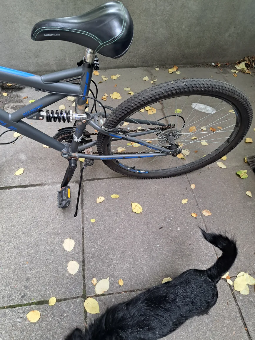 supercycle mountain bike ❤️ image indicator(4)