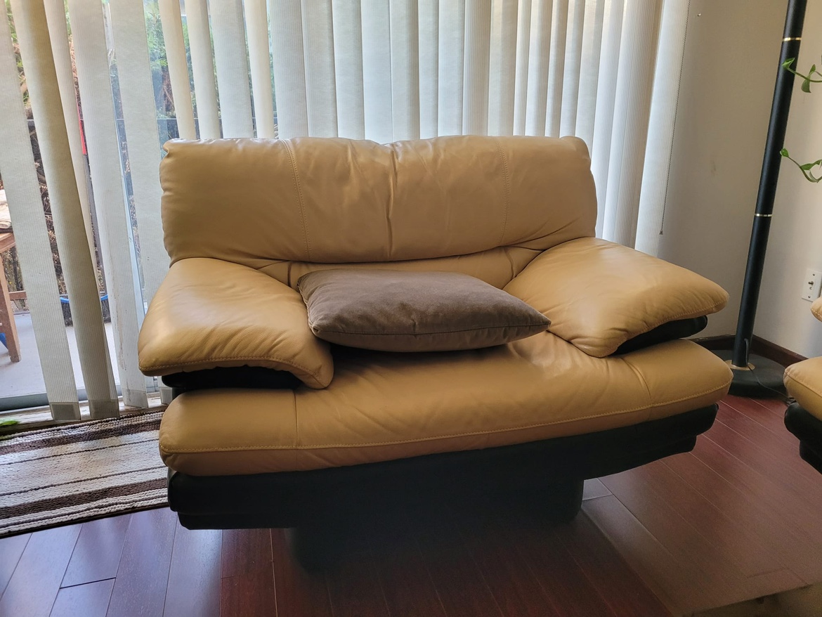 Leather Sofa and Loveseat