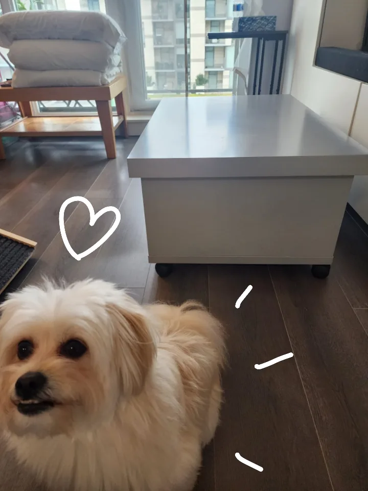 REDUCED PRICE - IKEA - Grey Coffee Table with Storage/ TV stand image indicator(3)