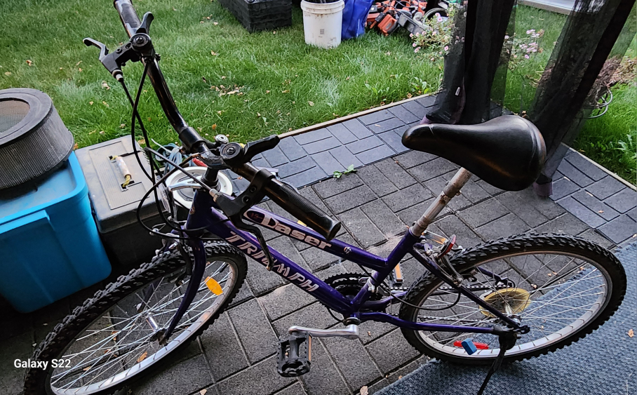 Bike 21" Youth - photo 5