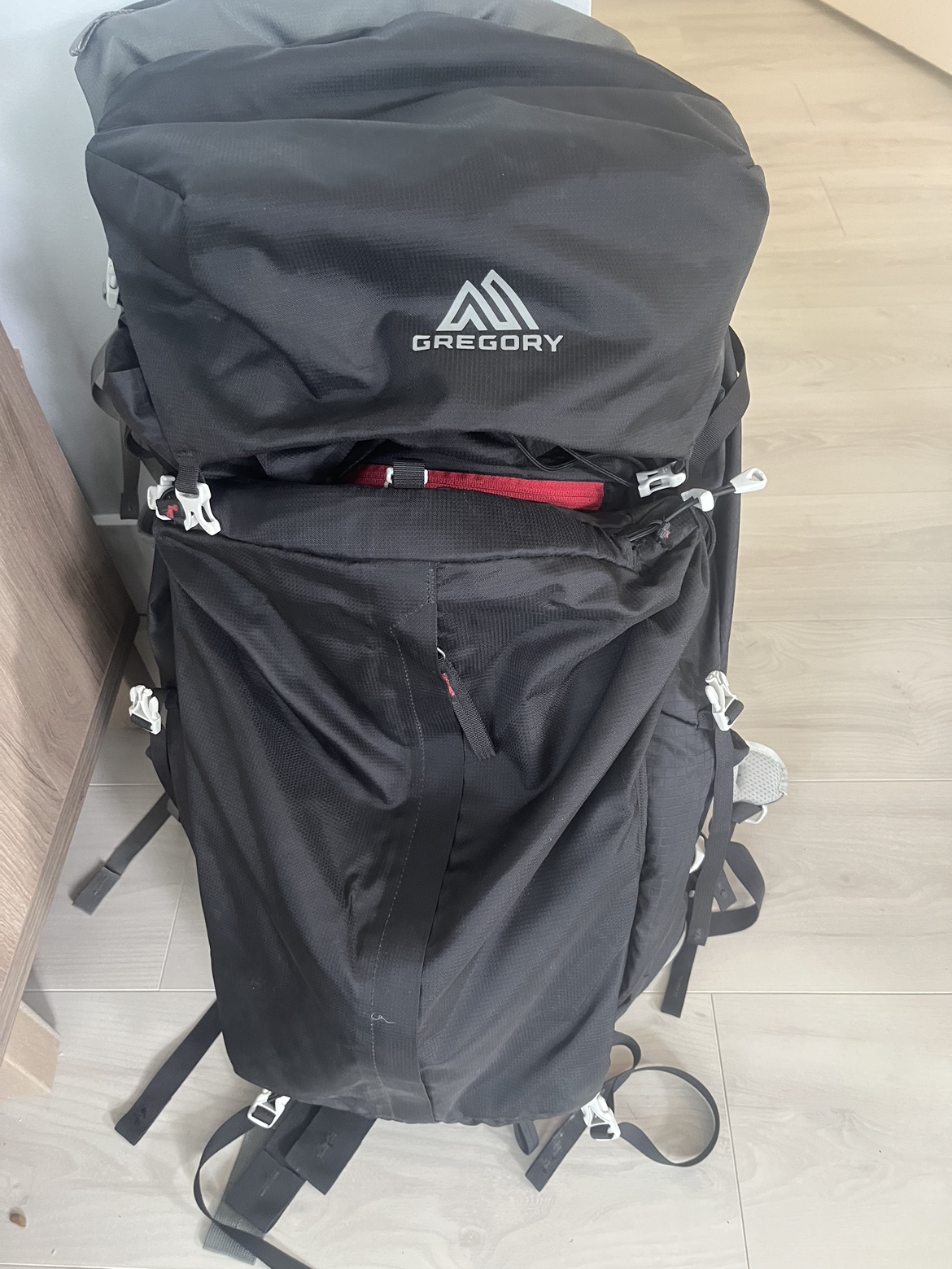 Gregory Baltoro 65L Backpack
