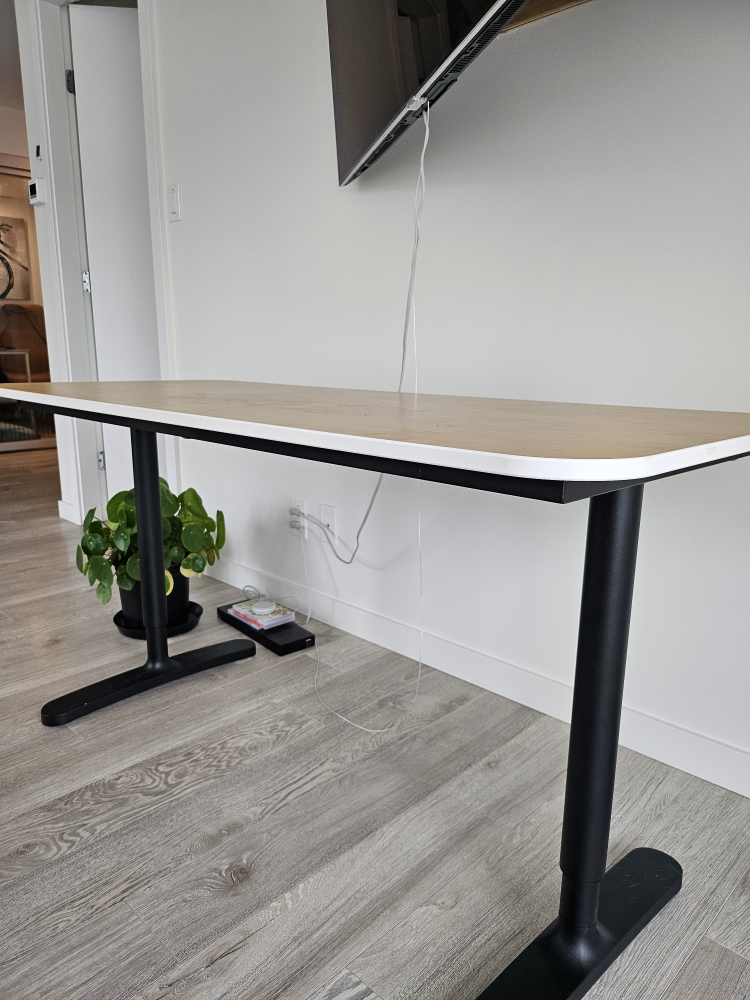 Standing Desk - photo 2