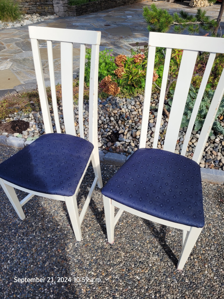White Dining Chairs