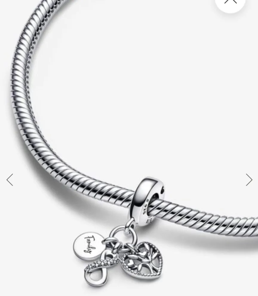 Pandora Family Charm