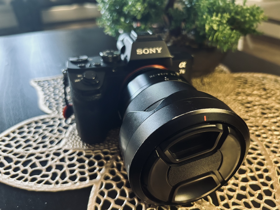 Sony mirrorless camera - photo 4