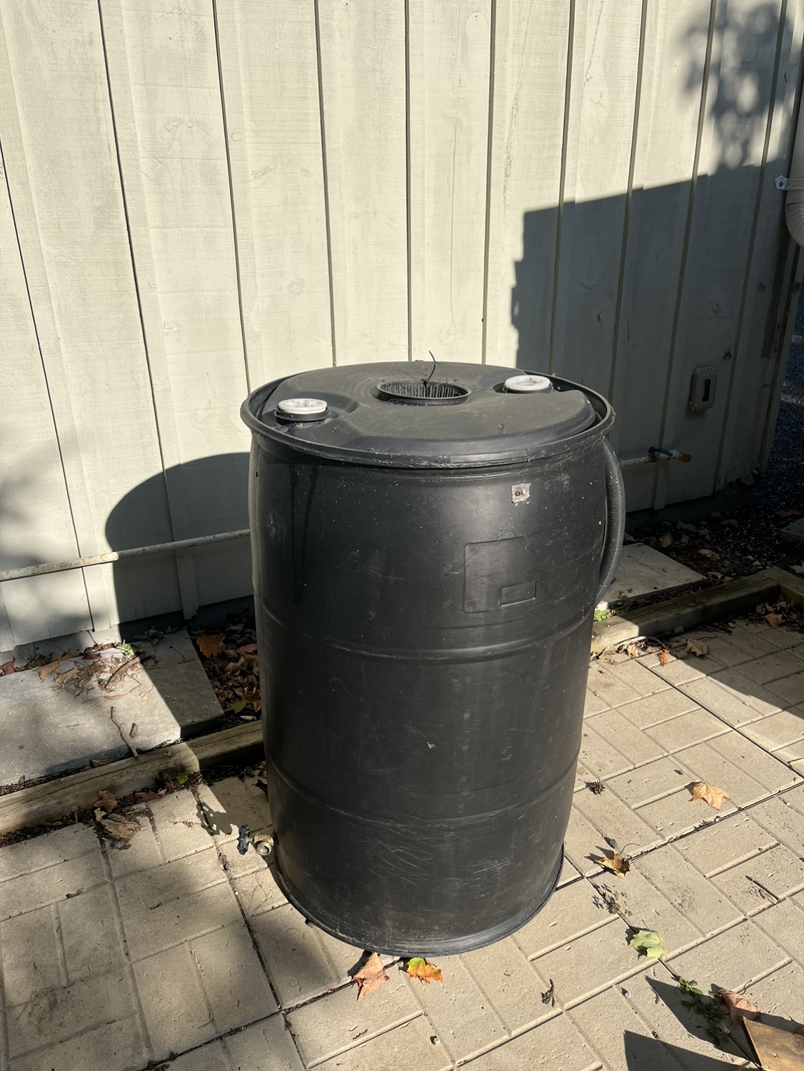 Rain Barrel