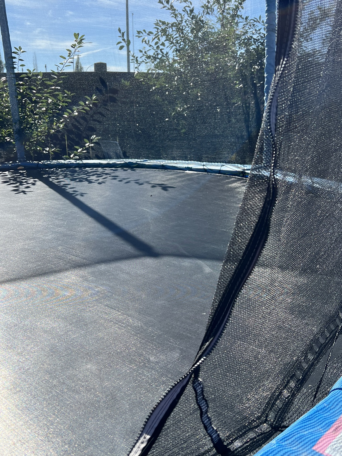 Trampoline - photo 4