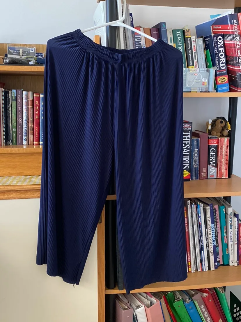 Navy Blue Pleated Pants thumbnail