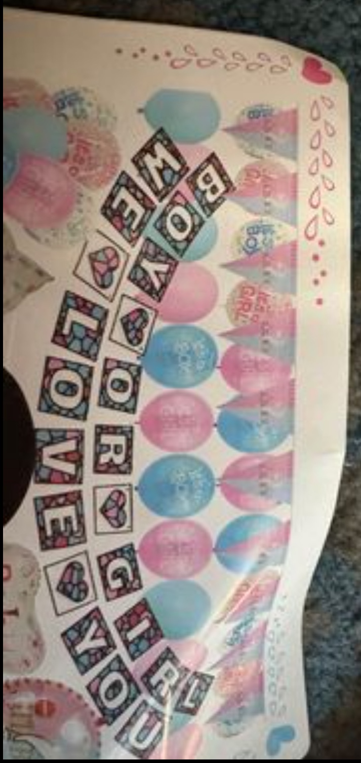 Gender Reveal Party Supplies - photo 5