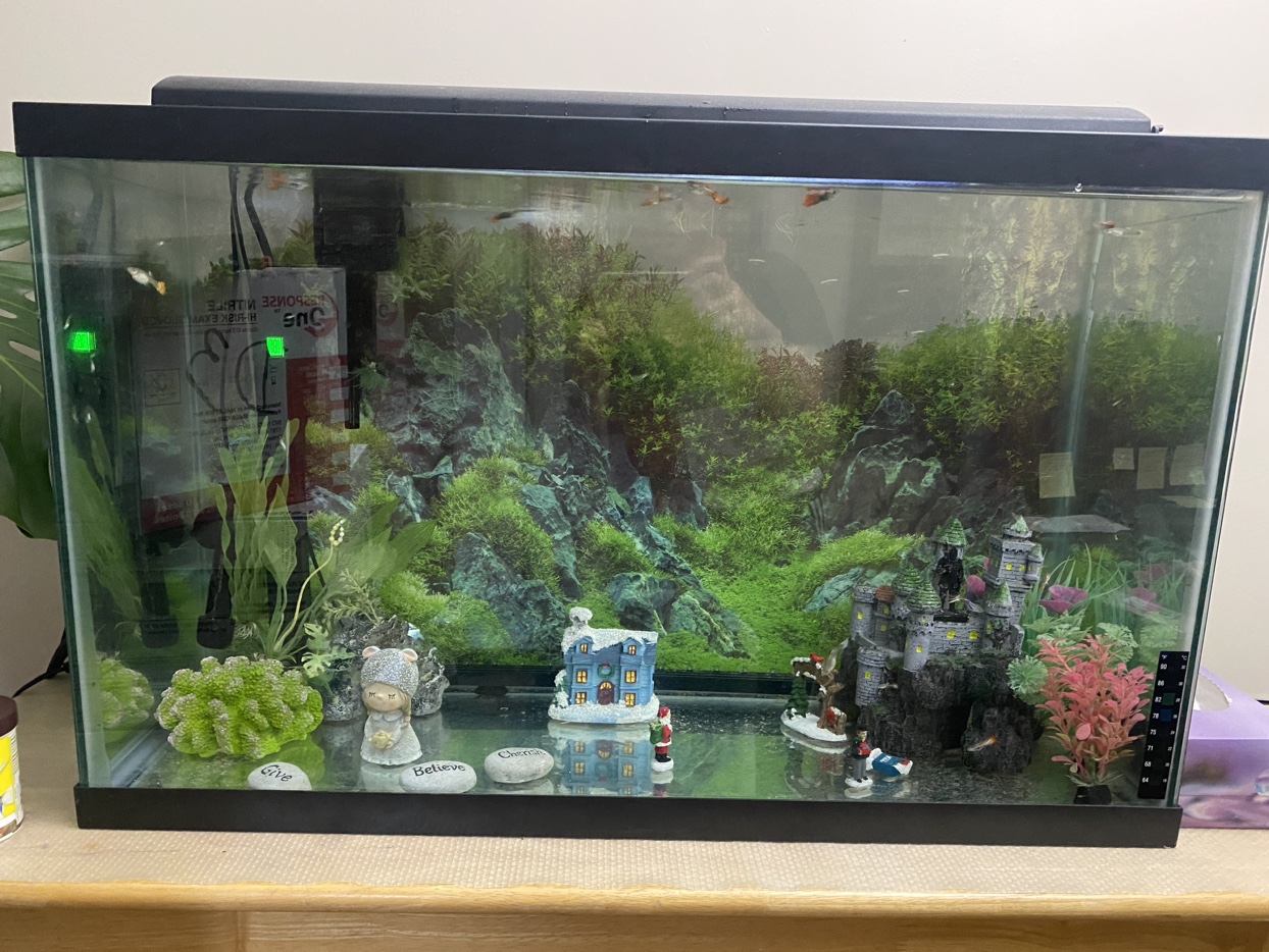 Fish tank Aquarium set - photo 2