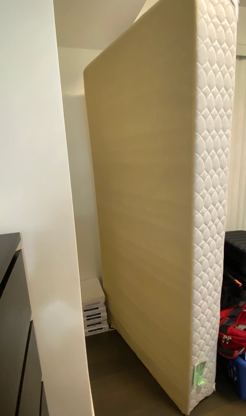 Twin Mattress + Box Spring Mattress Karrot