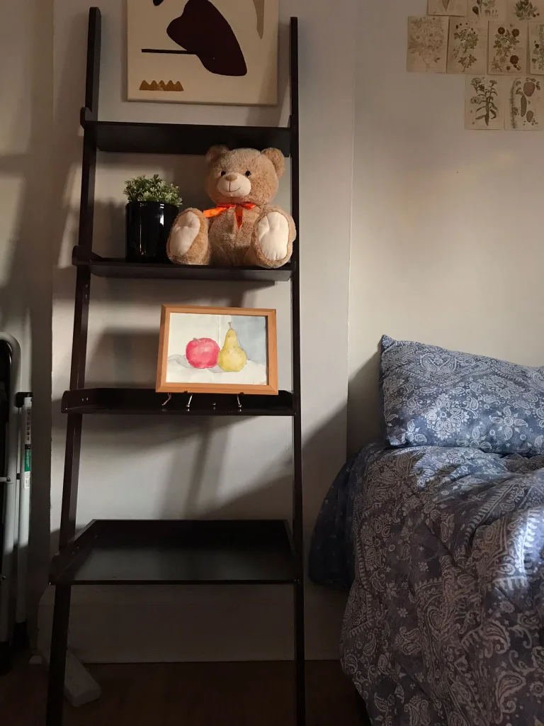 Ladder shelves image indicator(2)