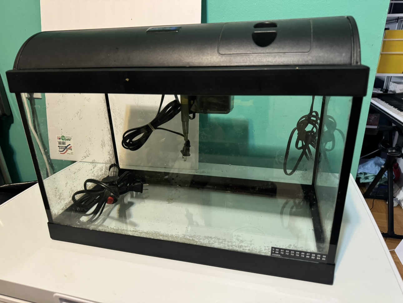 Aquarium Fish Tank