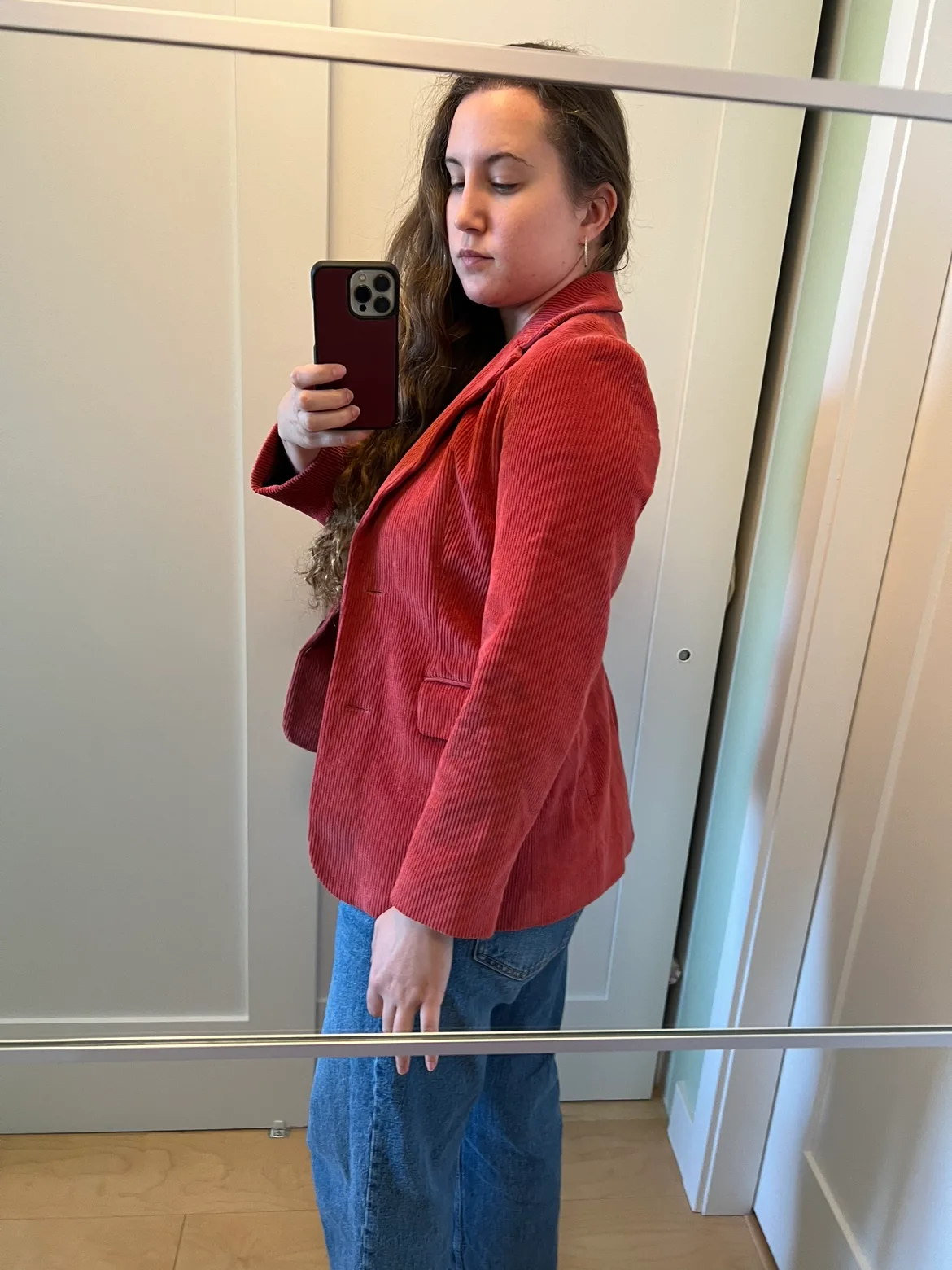 Luxury Pink Corduroy Blazer image indicator(4)