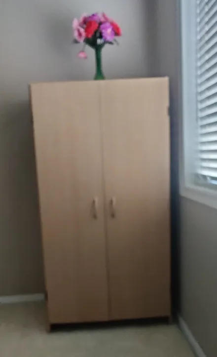 Tall Cabinet with Doors thumbnail