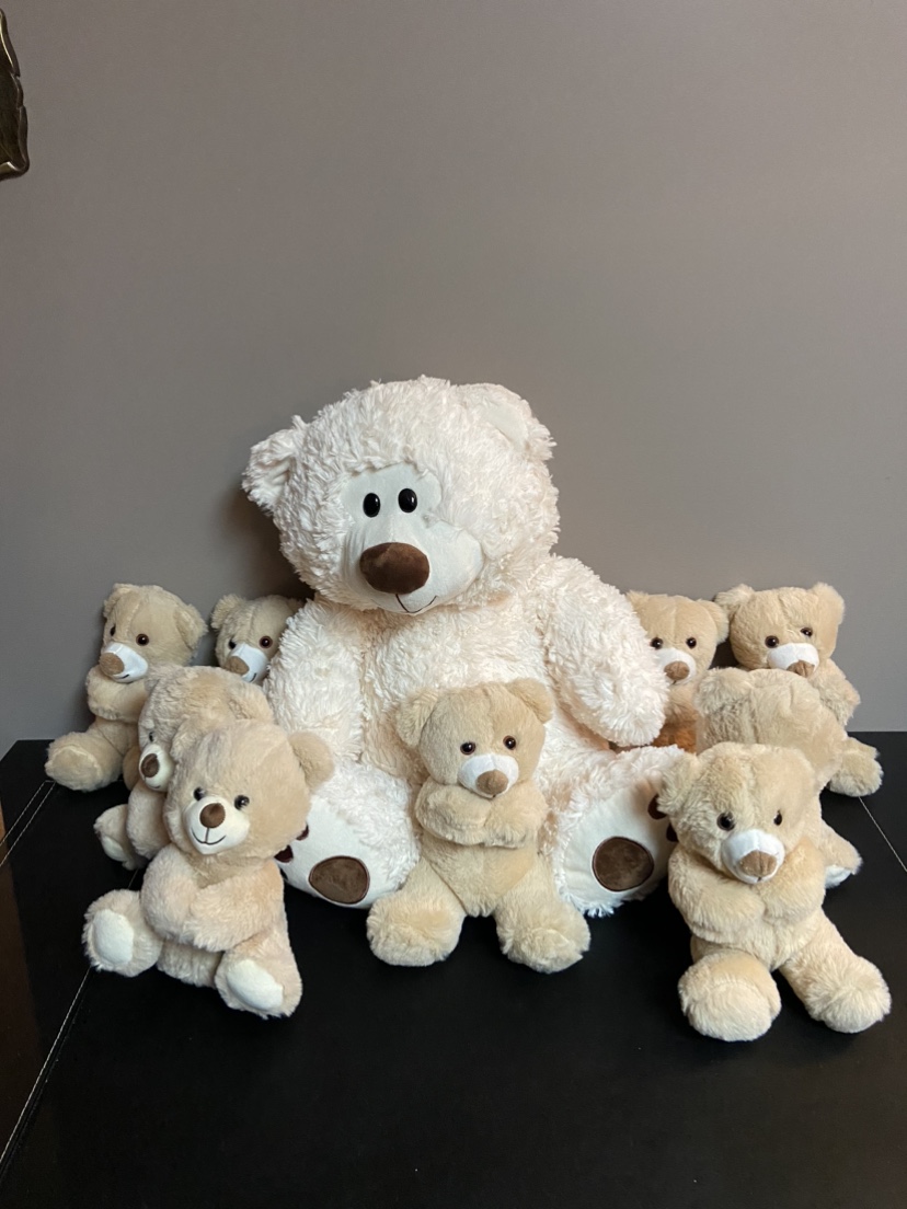Set of 10 Teddy Bears