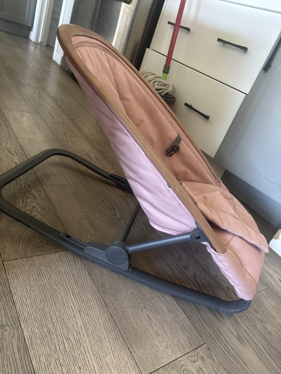 Baby Bjorn Bouncer - photo 2