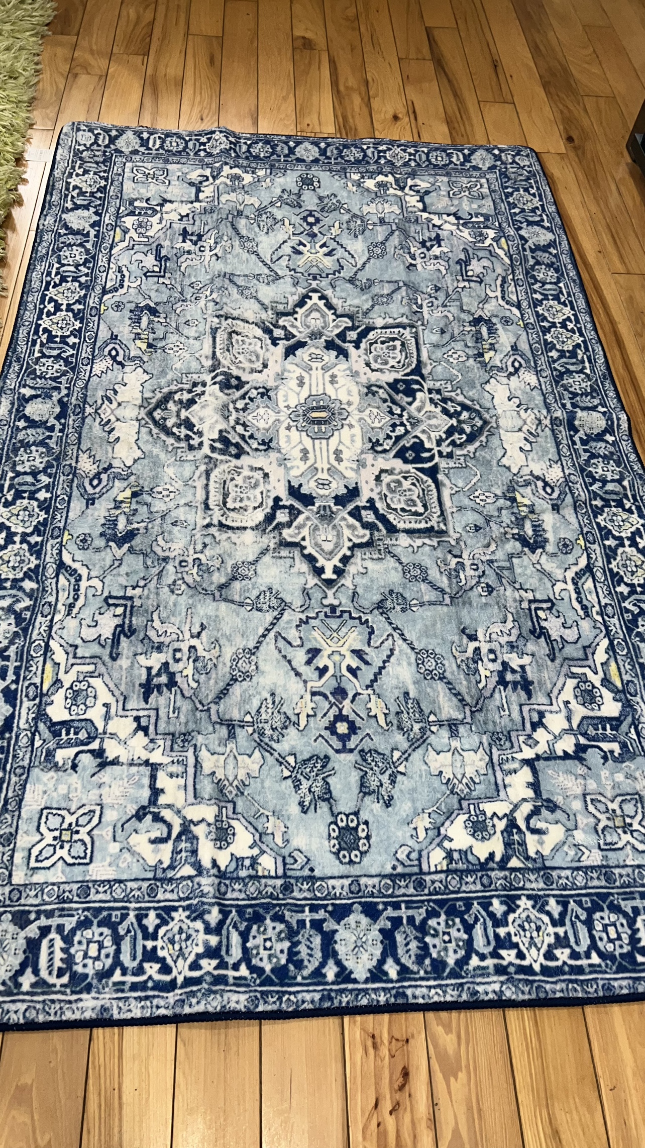 Blue and White Rug