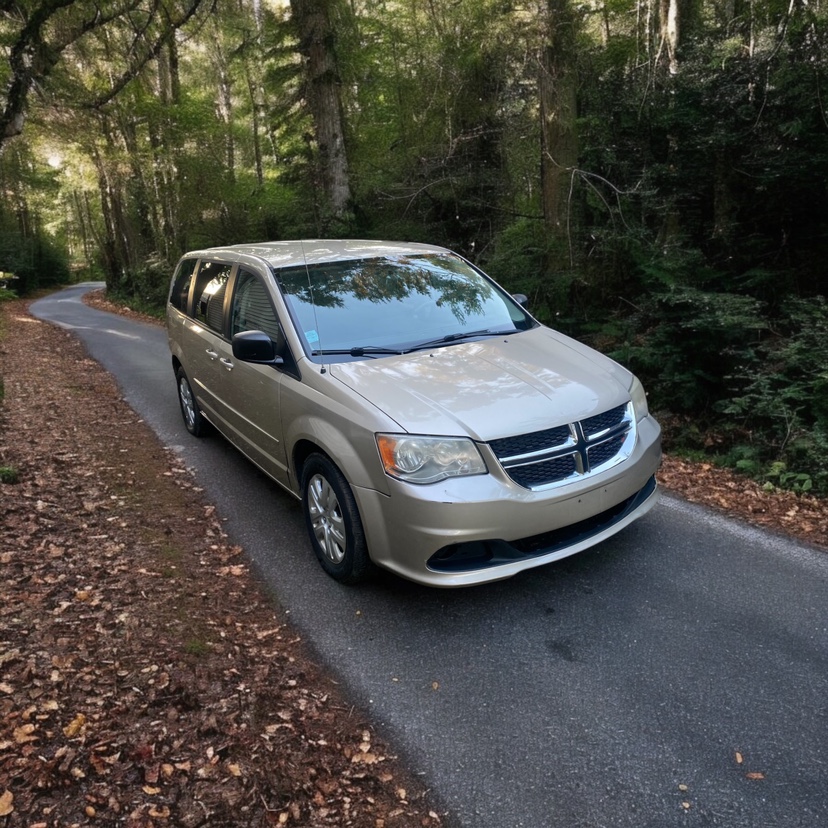 2014 Dodge Grand Caravan - photo 2