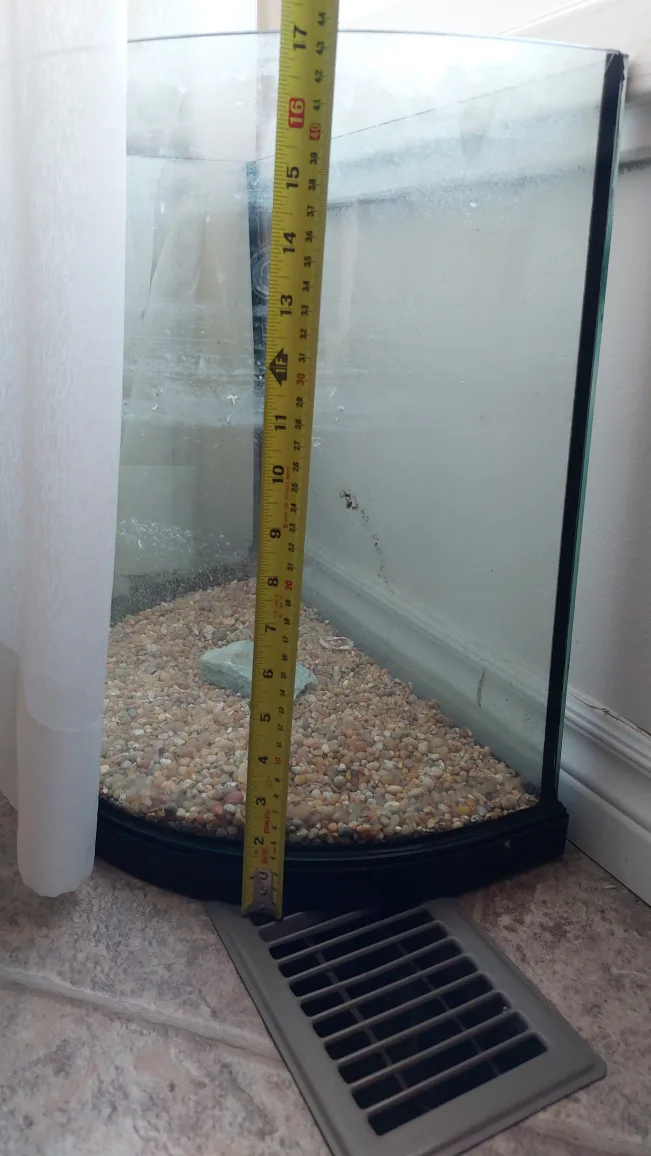 Aquarium/Terrarium half cylindrical, tall | #freecycle image indicator(3)