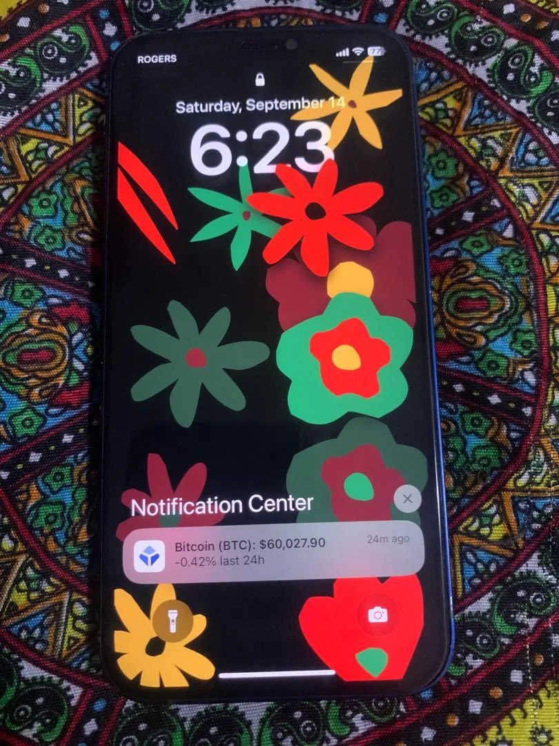 iPhone 12 Blue 128 GB image indicator(2)