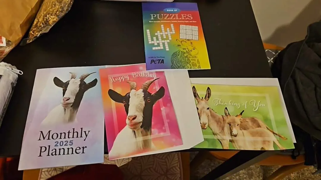 Puzzle Book, 2 Greeting Cards, & 2025 Planner #Freecycle thumbnail